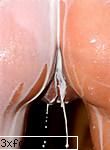 escorta lux - anda30 - ESCORTE